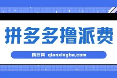 拼多多撸派费，2024最暴利的项目。软件全自动运行，日下1000单。每天利润500+，免费