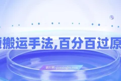 视频搬运手法，外面收费599的百分百过原创，可用起号变现