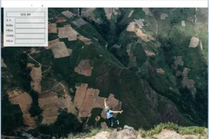 ImageGlass kobe(图片浏览器) v9.1.7.627 便携版