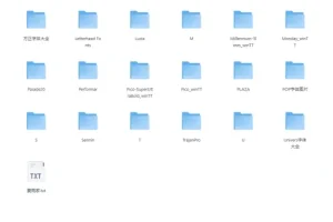 《设计师必备十万字体库》精选大方实用好字体 收藏一次用一辈子