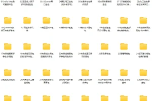 包包编织精品款式100个实例