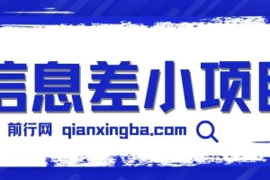 一个容易被人忽略信息差小项目，新手也能玩赚，轻松日赚百元【全套工具】