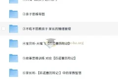 育儿必备【如何培养孩子】【启蒙系列】【亲子类】大嘴飞《思维大课包》 MP4/PNG 9.1G