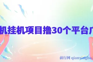手机挂机项目+零撸30个APP平台广告金币，一个月很轻松大几千