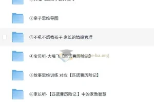 育儿必备【如何培养孩子】【启蒙系列】【亲子类】大嘴飞《思维大课包》 MP4/PNG 9.1G