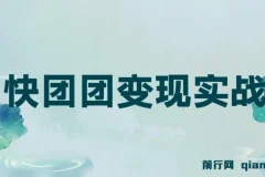 快团团变现实战营，千万级流水团长带你玩转快团团