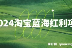 2024淘宝蓝海红利项目，无脑搬运操作简单，小白轻松月入五位数