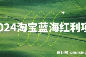 2024淘宝蓝海红利项目，无脑搬运操作简单，小白轻松月入五位数