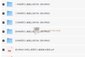 1-6年级语文人教版上册25秋 拔尖特训