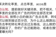 亚马逊广告实战课：底层逻辑与高阶打法