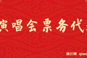 演唱会票务代理，2024年最火爆风口项目，全网最低的票价，小白一分钟上…