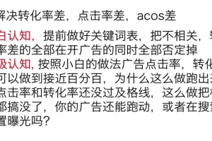 亚马逊广告实战课：底层逻辑与高阶打法