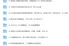 《2025最新网创项目合集》事业赚钱必学教程[MP4]