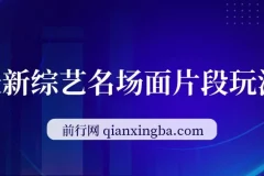 最新综艺名场面片段玩法，明星自带流量，日入200+，小白可做