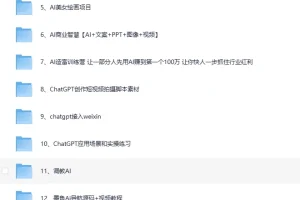 《AI变现实战案例教程大集合》