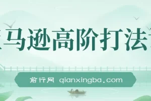 亚马逊高阶打法课，亚马逊暴力打法（14节视频课）
