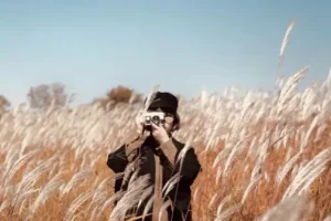 手机摄影训练营随手拍大片