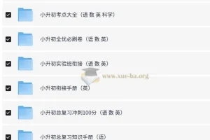 小升初总复习资料合集