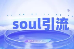 Soul引流创业粉野路子方法，交友平台均可引日均300+，无需剪视频写文案