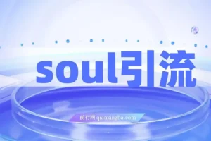 Soul引流创业粉野路子方法，交友平台均可引日均300+，无需剪视频写文案