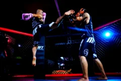 陈鹤皋格斗术极厉害实用的无限制格斗术