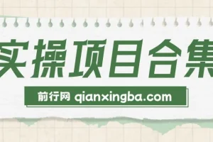 2025年实操六大项目实操演练，挂机类型，AI直播类型，轻资产创业类型