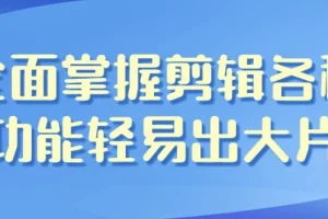 【全面掌握剪辑各种功能轻易出大片】