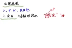 2024清越姐姐高三化学选修一系统课+酸碱盐专题