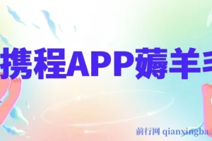 携程APP薅羊毛，外面卖1980的冷门赛道，矩阵月入1.5w