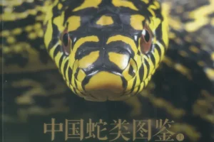《中国蛇类图鉴》上下册 中国野生蛇类245种