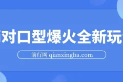 Ai对口型爆火全新玩法，一条视频100万播放，日入2张矩阵放大收益