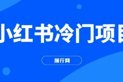 小红书冷门项目，3分钟一个原创作品，软件生成文字动画视频，轻松日入500+