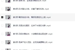 12节在家也能练出性感蜜桃臀，让臀部变得圆、紧、翘(完结）