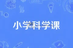 小学科学同步网课动画片 (1-6年级)[11.48GB]