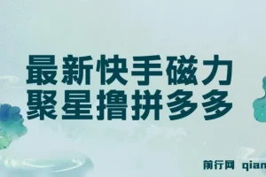 最新快手磁力聚星撸拼多多玩法，单设备单日收益14—17元