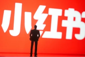 小红书养号秘籍，如何自动涨粉清晰系统标签打造高权重账号