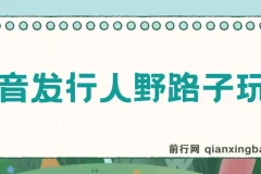 抖音发行人野路子玩法，手机操作一天2000+