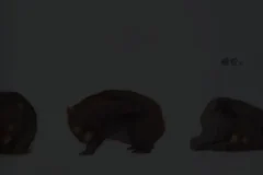 小奇绘本故事大全（高清1080P+PDF）