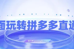 全面玩转拼多多直通车，新老店铺都适用的玩法