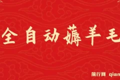 全自动薅羊毛项目，零门槛新手也能操作，适合工作室操作多平台赚更多