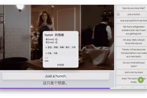 DashPlayer(视频播放器) v4.2.3 安装版