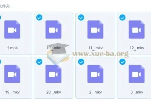 宋茗【2023春】初二英语春季目标S （人教版通用）