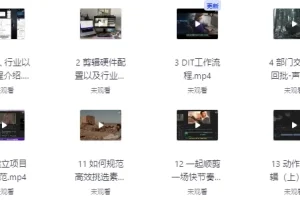 【莱尼日记影视剪辑全流程入门+短剧实战课 – 带素材】