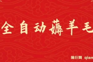全自动薅羊毛项目，零门槛新手也能操作，适合工作室操作多平台赚更多