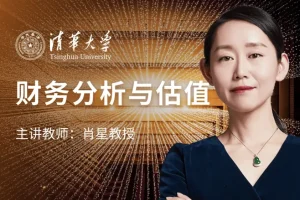 肖星财务分析与估值实战课（视频+资料）