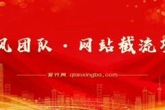 暴风团队·网站截流项目,暴疯团队项目分享