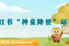 小红书“神童降世”玩法,暴力起号,私域打造聚宝盆,弯道超车 实现年入几十万