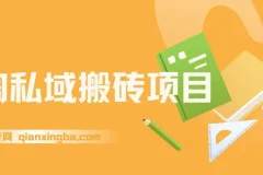 淘私域搬砖项目，利用信息差月入5W，每天无脑操作1小时，后期躺赚