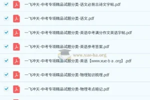 一飞冲天-中考专项精品试题分类（2024+2025+2026）