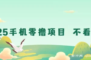 2025手机零撸项目 不看广告 手机随时可做 单日收益三位数